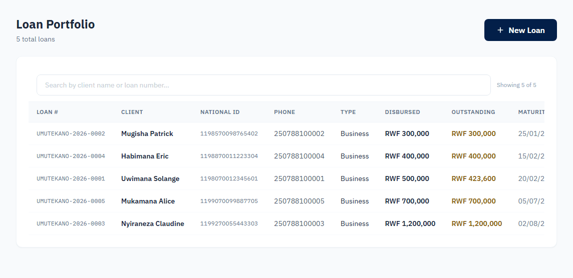 FenAfrica's real loan portfolio table, showing disbursed amounts and outstanding balances