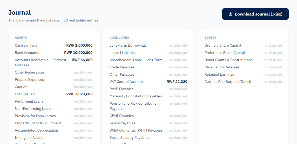 FenAfrica's real trial balance, showing live asset, liability, and equity account balances
